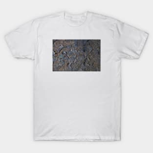 Burnt papers on soil T-Shirt